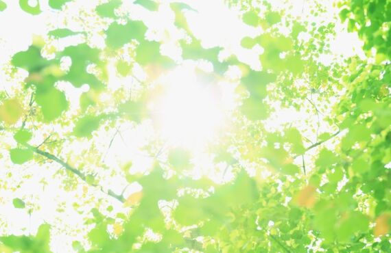 名古屋市を中心に電気工事をやってみませんか